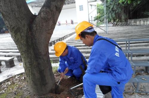 長沙白蟻防治