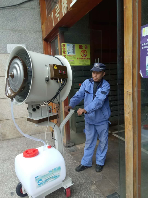 長沙跳蚤防治